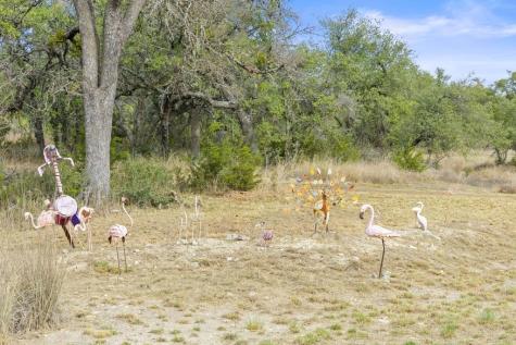 232 Crooked Oak Lane Round Mountain TX 78663