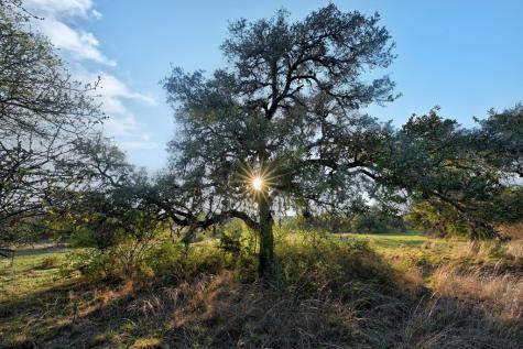 343 Cattle Creek Johnson City TX 78636