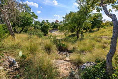 Lot 7 Longview Drive Fredericksburg TX 78624