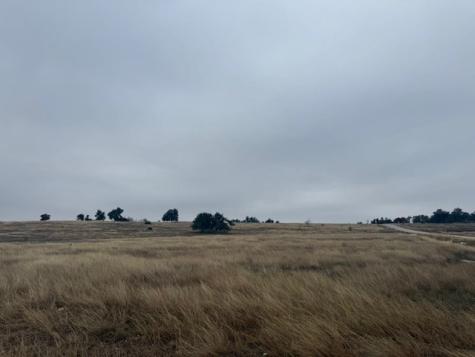 Lot 25 Reeh Road Fredericksburg TX 78624