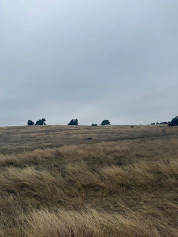 Lot 25 Reeh Road Fredericksburg TX 78624