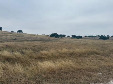 Lot 25 Reeh Road Fredericksburg TX 78624