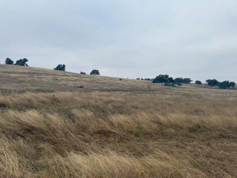 Lot 25 Reeh Road Fredericksburg TX 78624