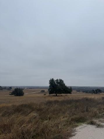 Lot 25 Reeh Road Fredericksburg TX 78624
