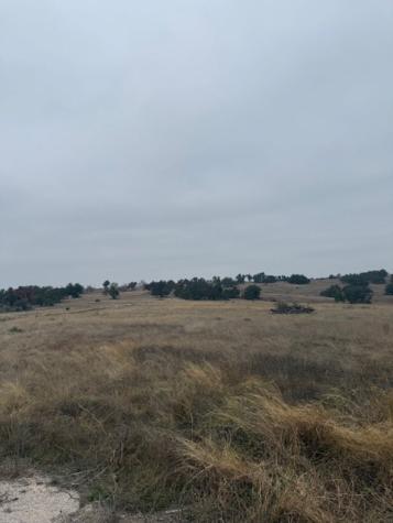 Lot 25 Reeh Road Fredericksburg TX 78624
