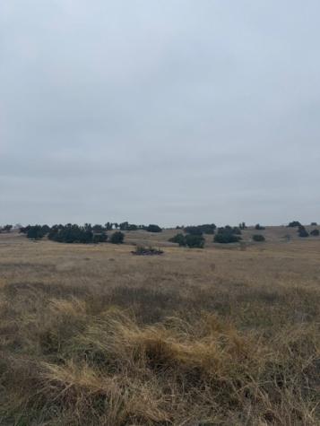 Lot 25 Reeh Road Fredericksburg TX 78624