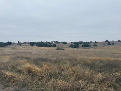 Lot 25 Reeh Road Fredericksburg TX 78624