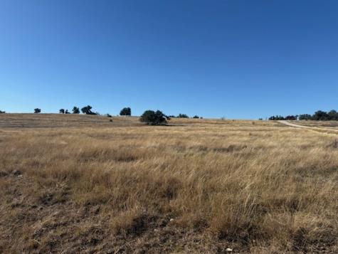 Lot 25 Reeh Road Fredericksburg TX 78624