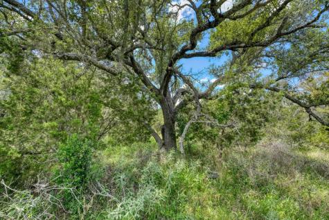 691 Grape Creek Road Johnson City TX 78636