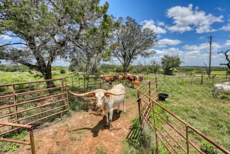 691 Grape Creek Road Johnson City TX 78636