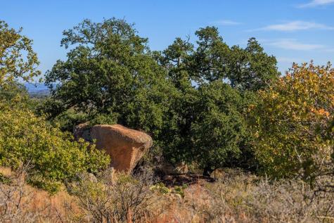 240 Granite Lake Trail Fredericksburg TX 78624