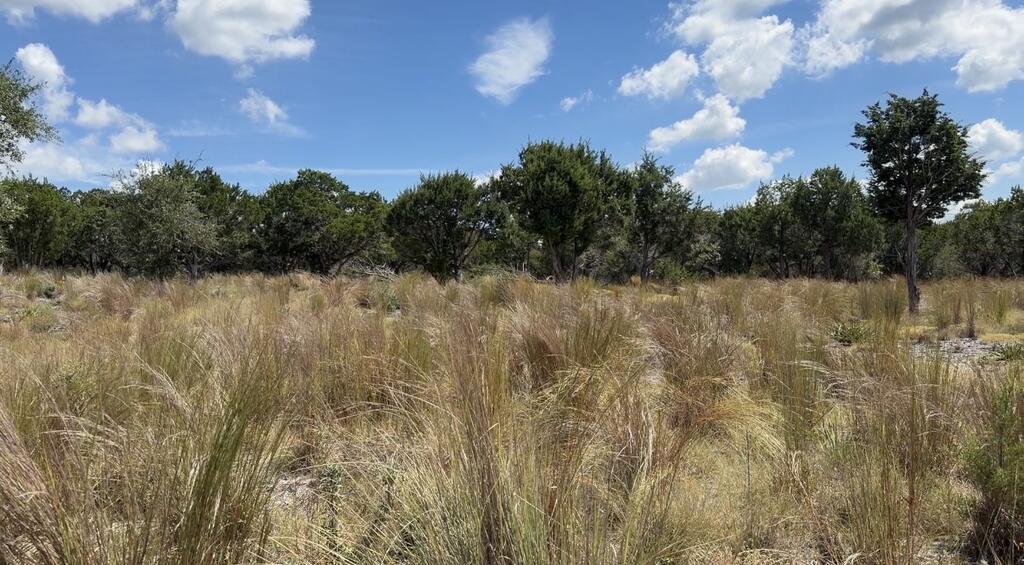 00 Cool Creek Road Camp Verde TX 78010