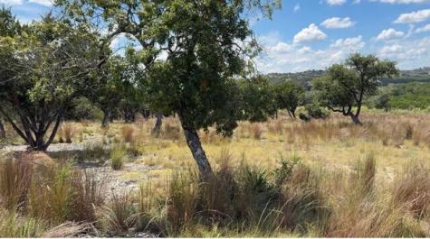 00 Cool Creek Road Camp Verde TX 78010