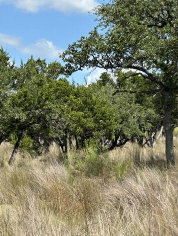 00 Cool Creek Road Camp Verde TX 78010