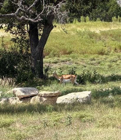 00 Cool Creek Road Camp Verde TX 78010