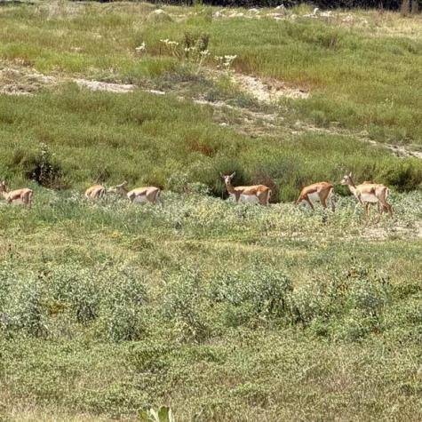 00 Cool Creek Road Camp Verde TX 78010