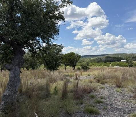 00 Cool Creek Road Camp Verde TX 78010