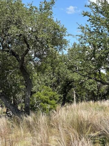 00 Cool Creek Road Camp Verde TX 78010