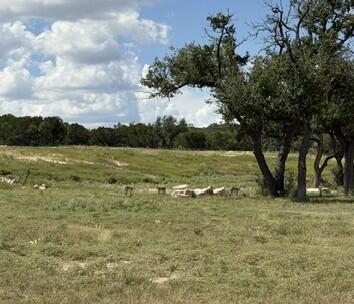 00 Cool Creek Road Camp Verde TX 78010