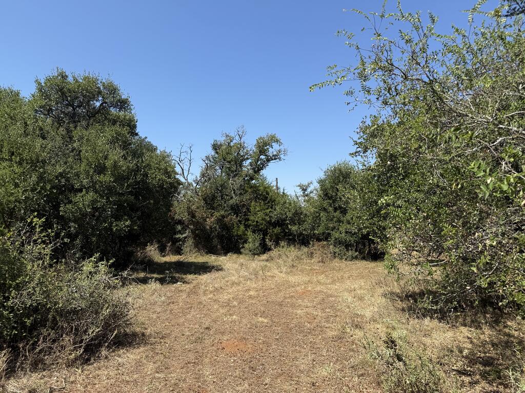 2607 S County Road 331 Cherokee TX 78643