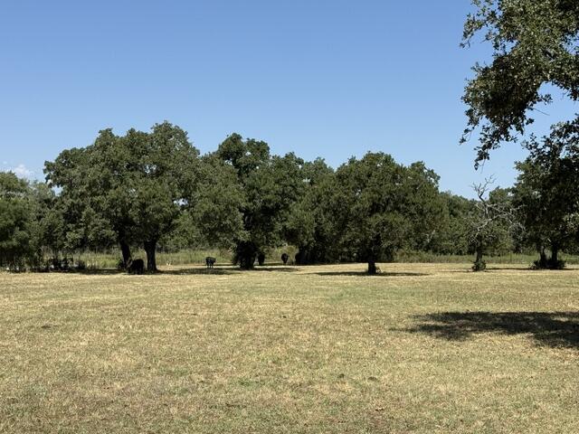 2607 S County Road 331 Cherokee TX 78643