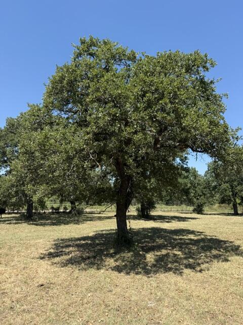 2607 S County Road 331 Cherokee TX 78643