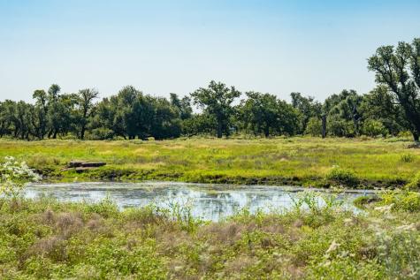 10 Slate Rock Road Fredericksburg TX 78675