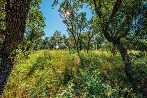 10 Slate Rock Road Fredericksburg TX 78675