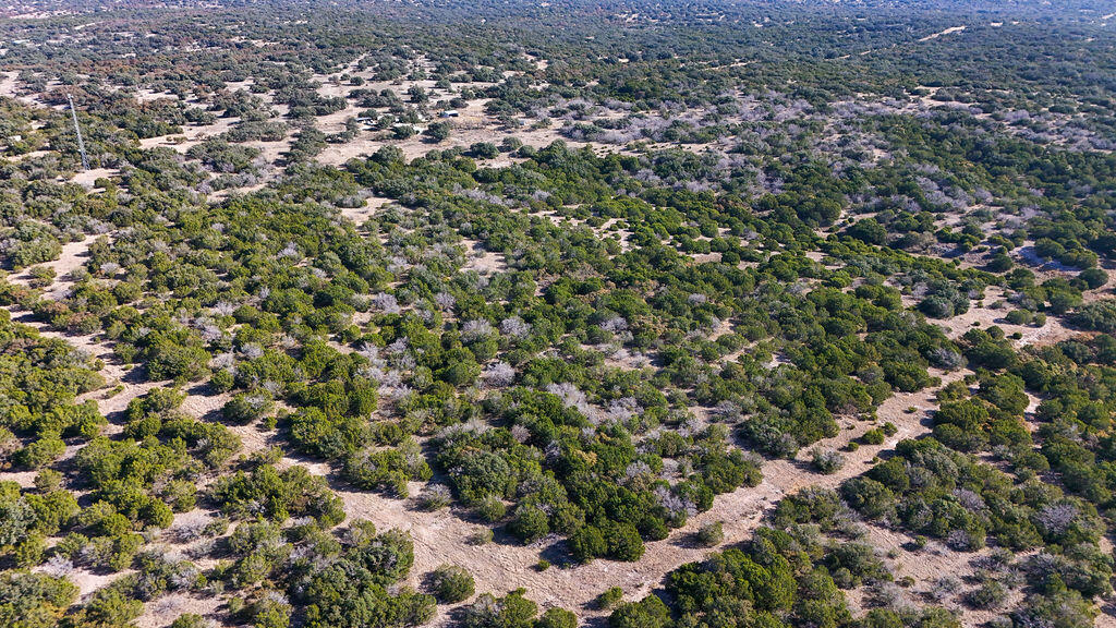 1031 Shin Oak Junction TX 76854