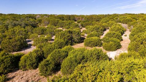 1031 Shin Oak Junction TX 76854