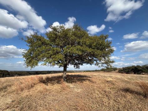 000 Watch Hill Lane Stonewall TX 78624