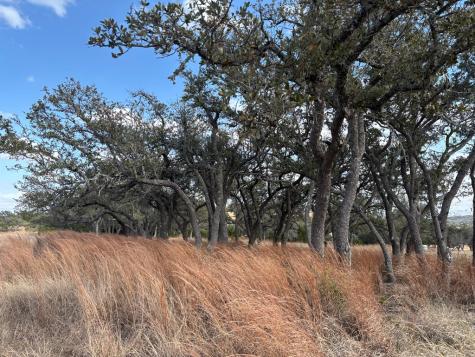 000 Watch Hill Lane Stonewall TX 78624