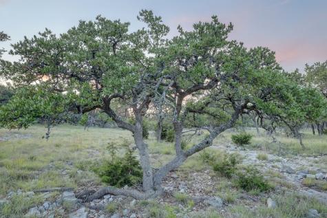 Tract 7 Stevens Ranch Road Harper TX 78631