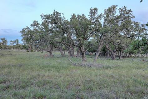 Tract 7 Stevens Ranch Road Harper TX 78631