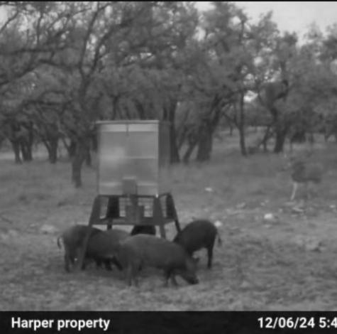 Tract 7 Stevens Ranch Road Harper TX 78631