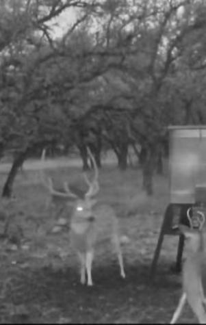 Tract 7 Stevens Ranch Road Harper TX 78631