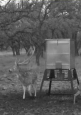 Tract 7 Stevens Ranch Road Harper TX 78631