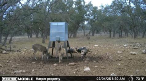 Tract 7 Stevens Ranch Road Harper TX 78631