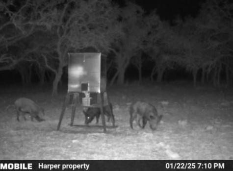 Tract 7 Stevens Ranch Road Harper TX 78631