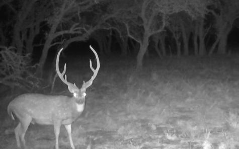 Tract 7 Stevens Ranch Road Harper TX 78631