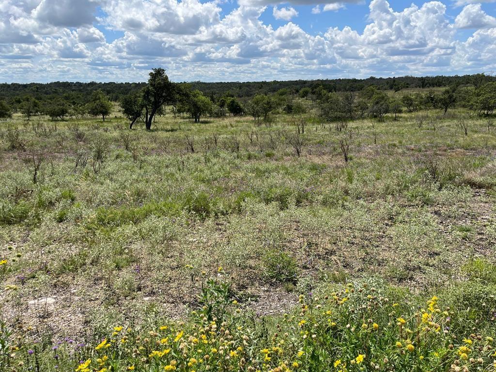 Lot 3 Jung Road Harper TX 78631