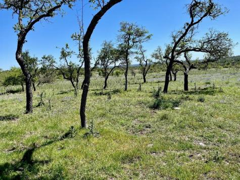 Lot 3 Jung Road Harper TX 78631