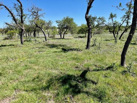 Lot 3 Jung Road Harper TX 78631