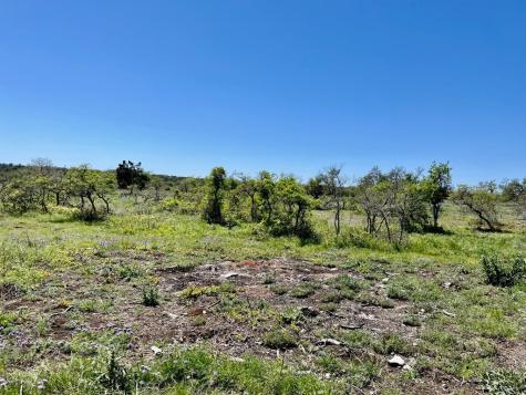 Lot 3 Jung Road Harper TX 78631