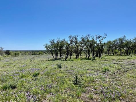 Lot 3 Jung Road Harper TX 78631