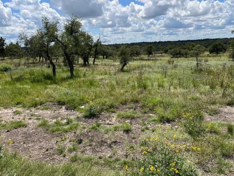 Lot 4 Jung Road Harper TX 78631