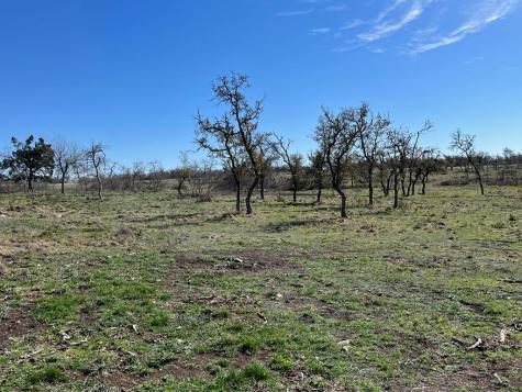 Lot 4 Jung Road Harper TX 78631
