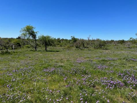 Lot 4 Jung Road Harper TX 78631