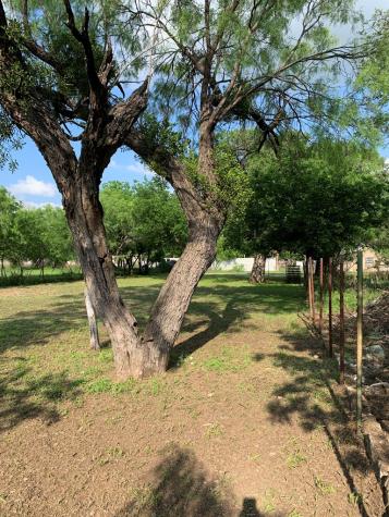 1308 S Melville Brady TX 76825
