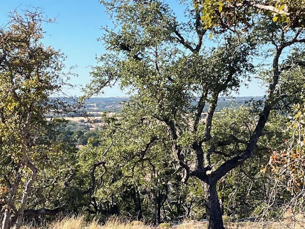 Tract 1 Rare Eagle Drive Fredericksburg TX 78624
